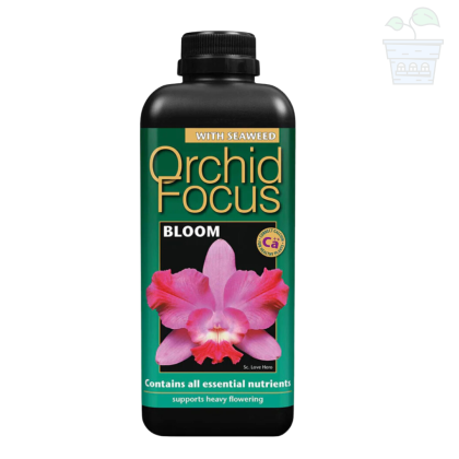 Orchid Focus Fertilizer for flowering/Orchids 1 l