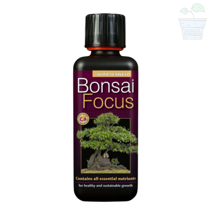 Bonzai Focus - fertilizer for Bonzai trees 100 ml