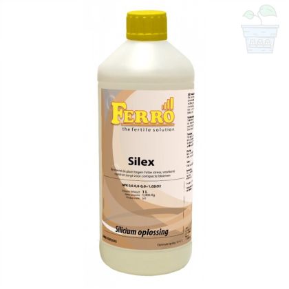 Liquid fertilizer Ferro Silex 1 L - Silicon additive for healthy plants