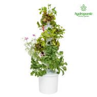 Hydroponic Vertical garden