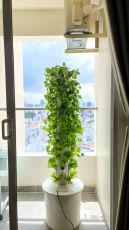 Hydroponic Vertical garden